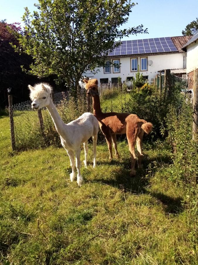 Herzfennerhof Mobilheim Auw bei Prum Zewnętrze zdjęcie