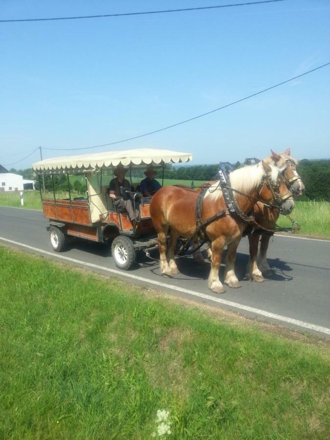 Herzfennerhof Mobilheim Auw bei Prum Zewnętrze zdjęcie